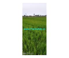 3.40 acre Punjai Agriculture Land Sale Near Parasur Village