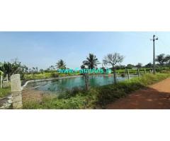 2 Acre 7 Gunta Farm Land Sale near Thambihally, Kolar Mulabagal Road