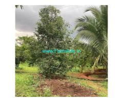 3 Acres 22 Guntas with 18 Guntas A karab Farm House for Sale in Nelmangala
