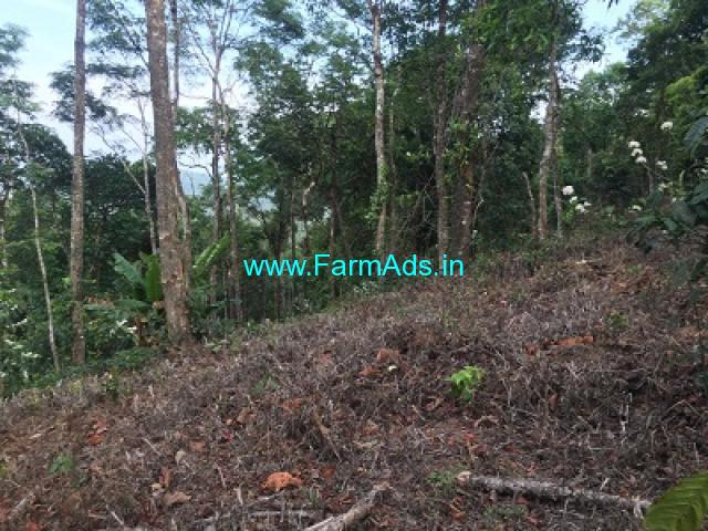 7.5 acre average maintained plantation for sale Mudigere Devarmane road 7.5 acre average maintained plantation for sale Mudigere Devarmane road