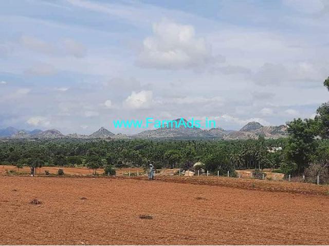 6 Acres Agriculture Land For Sale near Koratagere 6 Acres Agriculture Land For Sale near Koratagere