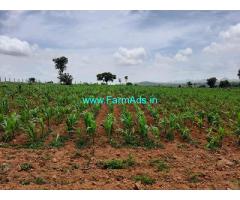 6 Acres Agriculture Land For Sale near Koratagere 6 Acres Agriculture Land For Sale near Koratagere