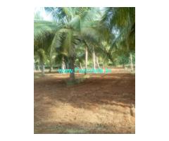 40 Acres Coconut Farm with two Houses for Sale near Thirupattur