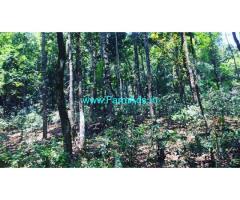 12 acre average maintained plantation for sale near Kalasa
