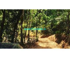 12 acre average maintained plantation for sale near Kalasa