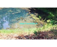 12 acre average maintained plantation for sale near Kalasa