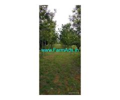 4 acre mango and mixed fruits plantation property for sale Srinivasapura