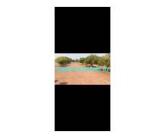 Sale of mango farm 5.12 acres at Challakere city