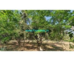 78 by 240 Farm land for sale near Mysore