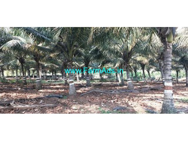 2 acre Coconut Farm Land for Sale near Mysore,Sri ram pura 2 acre Coconut Farm Land for Sale near Mysore,Sri ram pura