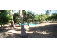 5.80 acre Farm Land for Sale near Thirupathur