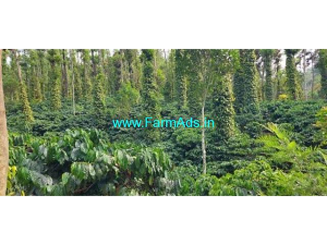 2 Acre coffee estate for sale in Sakleshpur, Hanbal Road 2 Acre coffee estate for sale in Sakleshpur, Hanbal Road