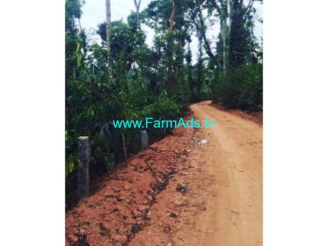 1 acre well maintained plantation for sale in Mudigere 1 acre well maintained plantation for sale in Mudigere