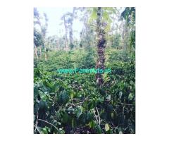1 acre well maintained plantation for sale in Mudigere 1 acre well maintained plantation for sale in Mudigere