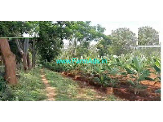 10.07 acre farm land for sale near Gundlupet 10.07 acre farm land for sale near Gundlupet