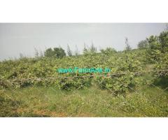 4.5 acres Gauva farm land for Sale Nearby Palani area