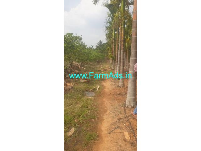 1 Acre Agriculture Land  for Sale near Chintamani 1 Acre Agriculture Land  for Sale near Chintamani
