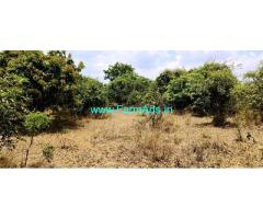 1 Acre 3 Gunta Mango Farm for Sale at Bennanguru, Kolar Srinivasapura Road