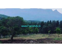 2.5 acre Agri land for sale in Chikkmagalur