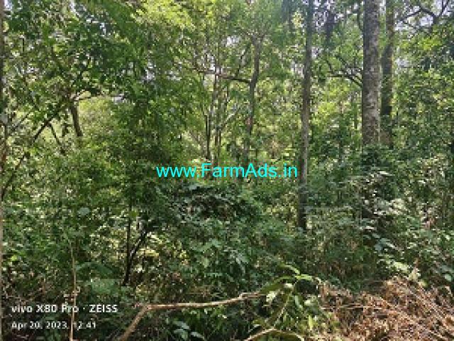 5.5 Acre Plain land for sale in Mudigere 5.5 Acre Plain land for sale in Mudigere