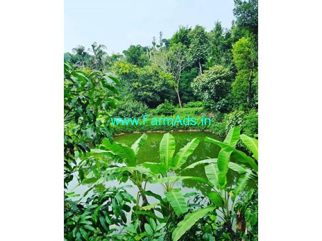 5 acre well maintained coffee estate Sale near Sakleshpur 5 acre well maintained coffee estate Sale near Sakleshpur
