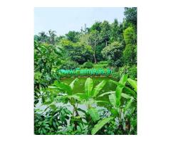 5 acre well maintained coffee estate Sale near Sakleshpur