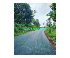 5 acre well maintained coffee estate Sale near Sakleshpur 5 acre well maintained coffee estate Sale near Sakleshpur
