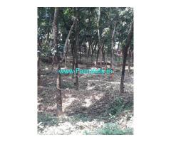 5 acres Agriculture land sale near Murje