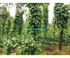 2.5 acre plantation with Farm house sale in Mudigere