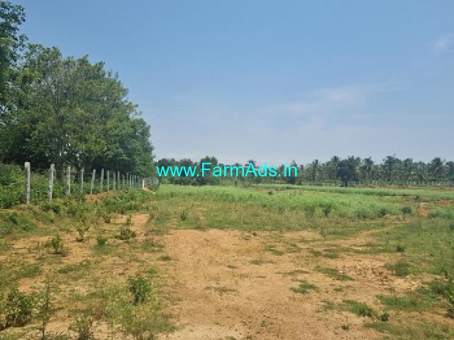 4 Acre Agriculture land For Sale near Tumkur 4 Acre Agriculture land For Sale near Tumkur