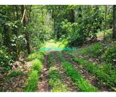 15 Acre Well Maintained Coffee Estate For Sale in Shanivarasnathe