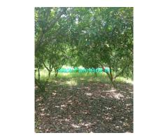 7 Acre Agriculture Land For Sale Near Tindivanam