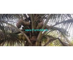 2 Acre Farm House For Sale Near Mysore