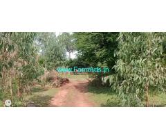 2.25 Acre Hill attached Agriculture land for Sale in Buchanahalli
