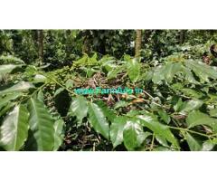 3.5 Cent Agriculture Land For Sale Near Thandigudi