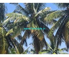 3 Acre Farm House For Sale Near Mysore