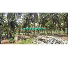 10 Acre Farm Land For sale Near Hunsur