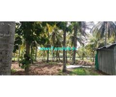 10 Acre Farm Land For sale Near Hunsur