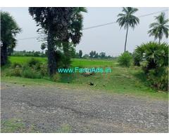 2.88 acres of Punjai land for Sale at Thiruvannamalai