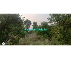 2 Acres Mango Garden land for Sale in Hosakote village