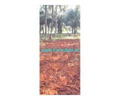 40 Acres Of Coconut Farm For Sale Near Theni