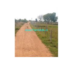20 Guntas Farm Land For Sale In Gongulur