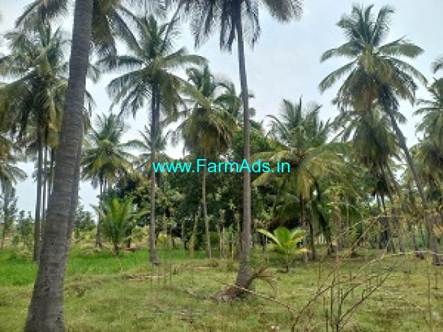 1.10 Acre Coconut Trees Farm Land For Sale in Hiriyur 1.10 Acre Coconut Trees Farm Land For Sale in Hiriyur