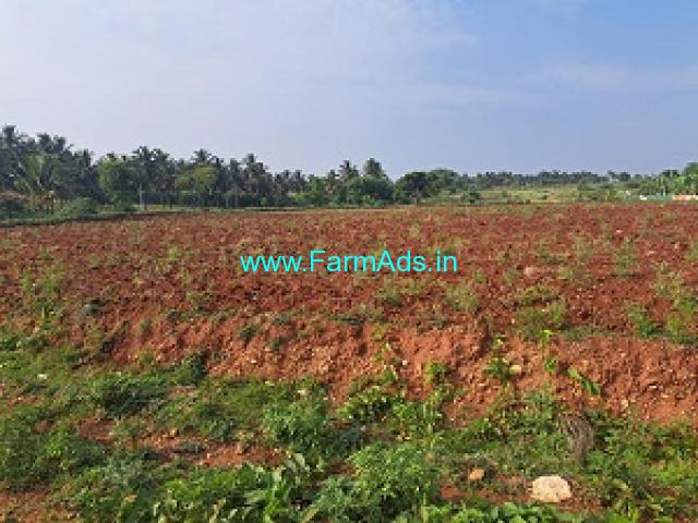 1.15 Acre Farm Land For Sale Near Mysore 1.15 Acre Farm Land For Sale Near Mysore
