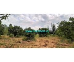 5.5 Acres Farm Land For Sale Near Mulbagal