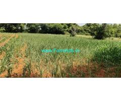 7 Gunta Agriculture Land For Sale Near Village Doora