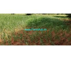 7 Gunta Agriculture Land For Sale Near Village Doora