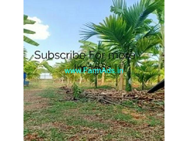 4 Acre Coconut Farm Land For Sale Near Channapatna 4 Acre Coconut Farm Land For Sale Near Channapatna