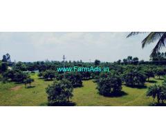 1 Acre Mallika Mango Farm Land for sale Chintamani to Kolar Road