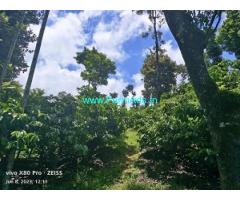 6.5 acre Farm land sale in Sakleshpur 6.5 acre Farm land sale in Sakleshpur